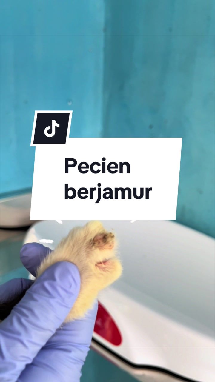 @drh.AdeFani