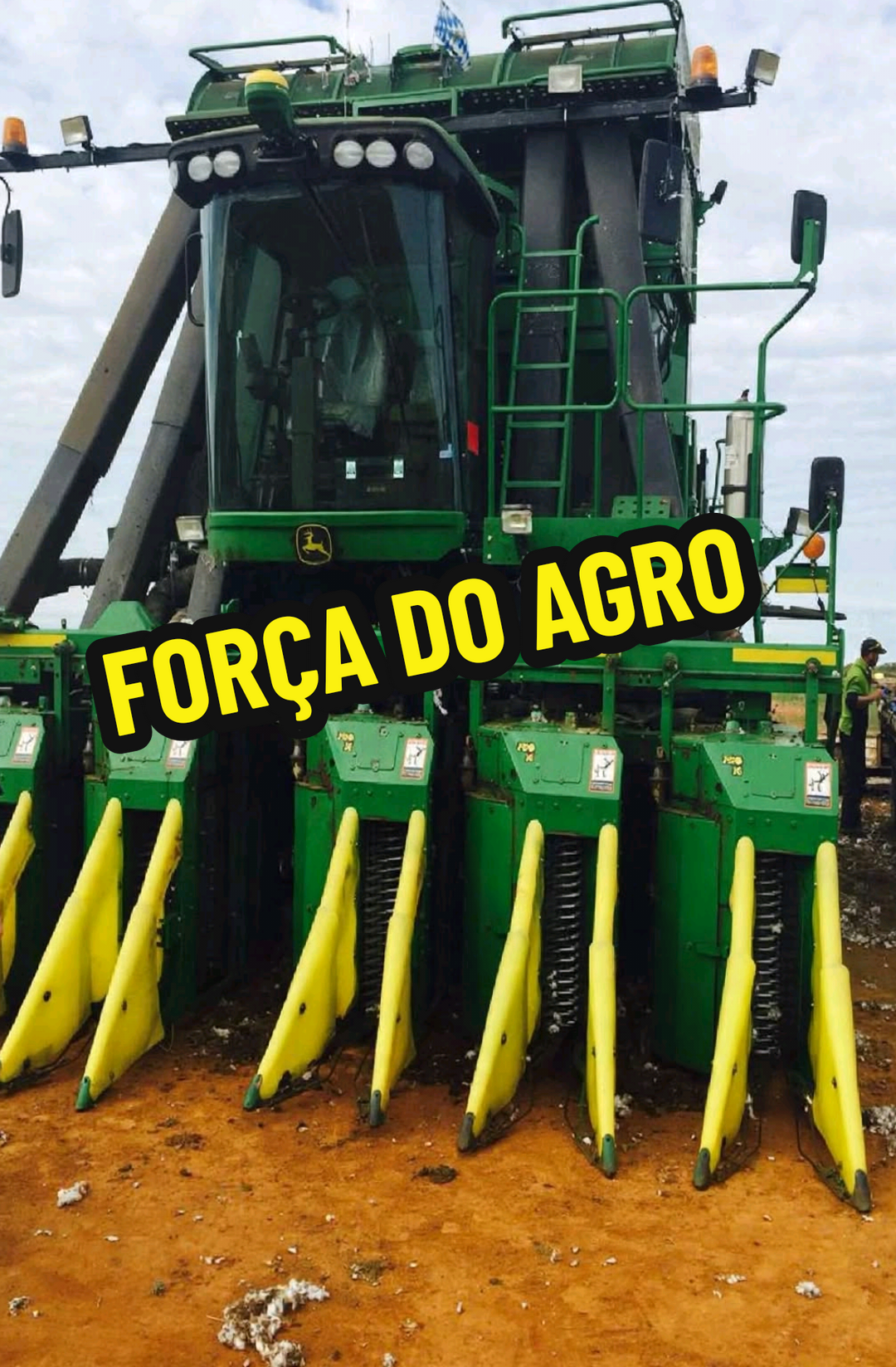@RAIZ DO SABER