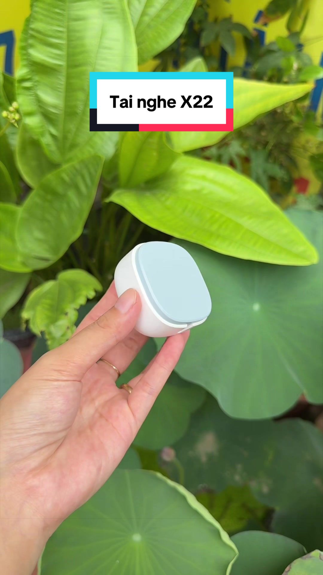 @Tuấn B&igrave;nh Thường