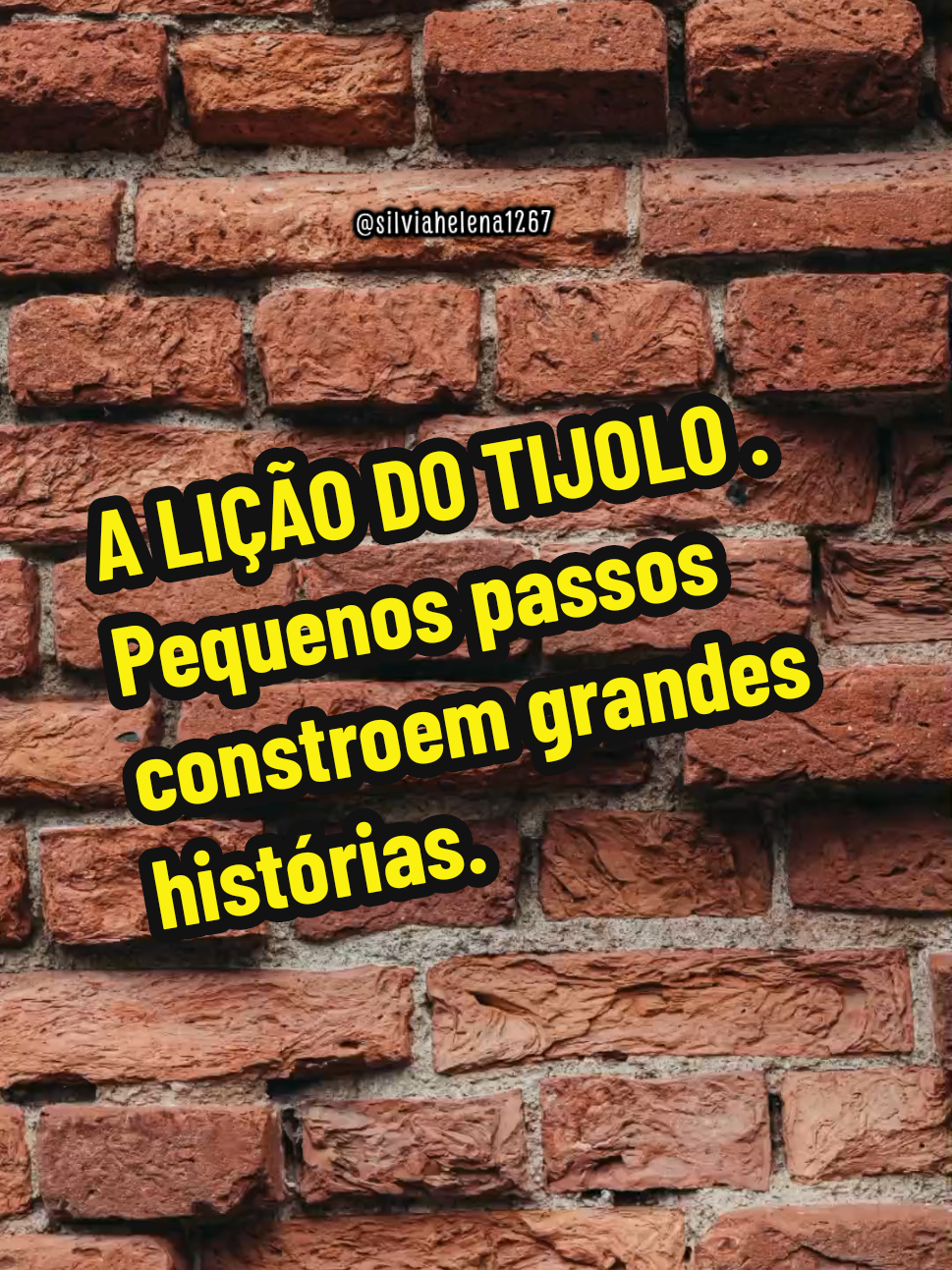 @Silvia Helena.