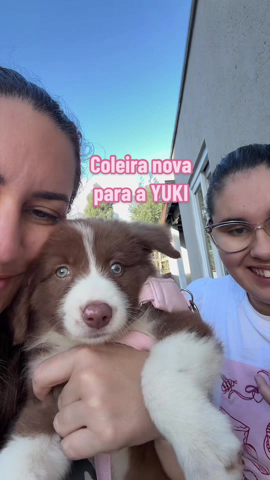 @Catita Família Atípica