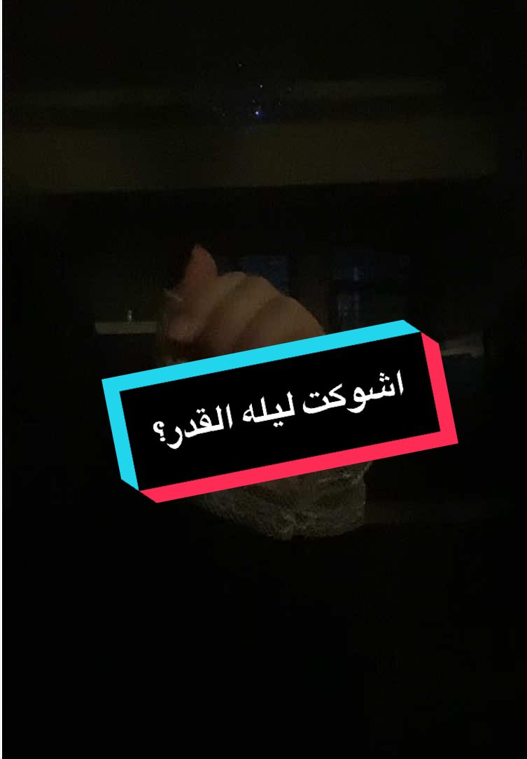 @ريري✨👸🏻