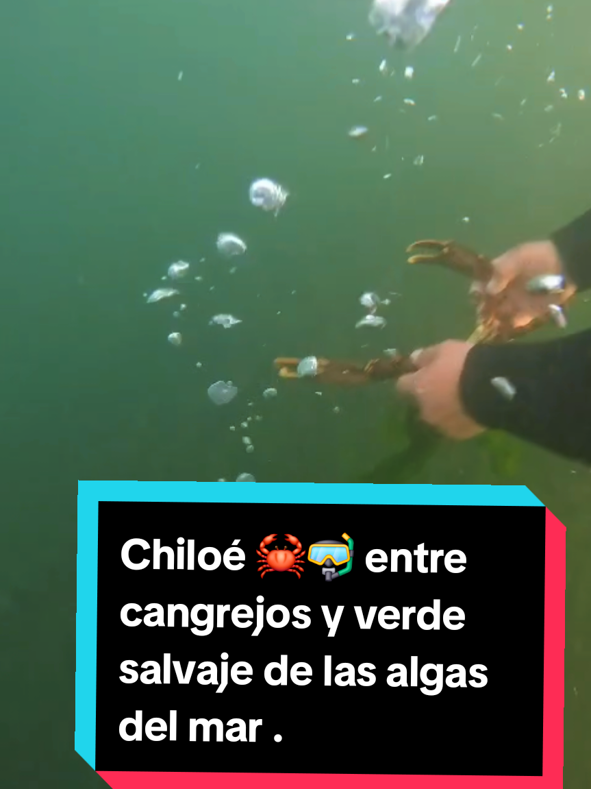 @jorge_el_chilote