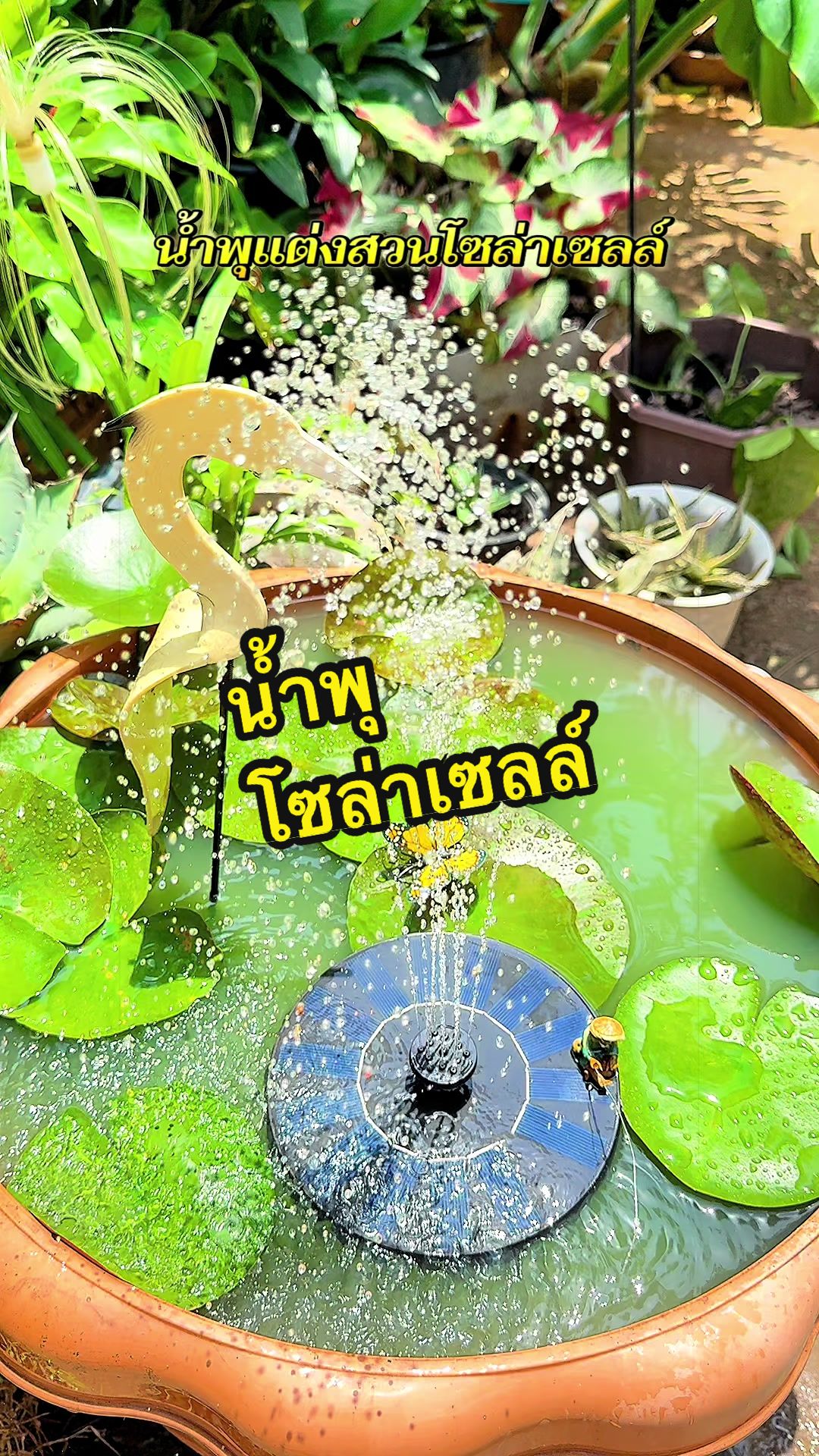 @Mithoe ชอบรีวิว