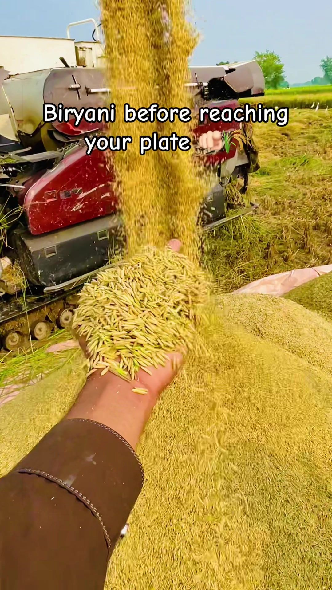 @😎اویس راجپوت🕊️❤️🔥