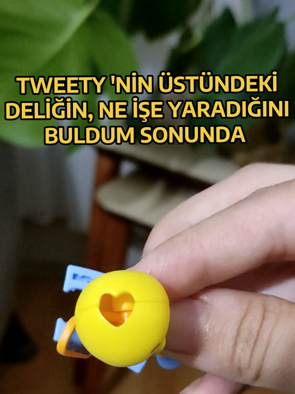@S&uuml;rpriz kutusu 💕