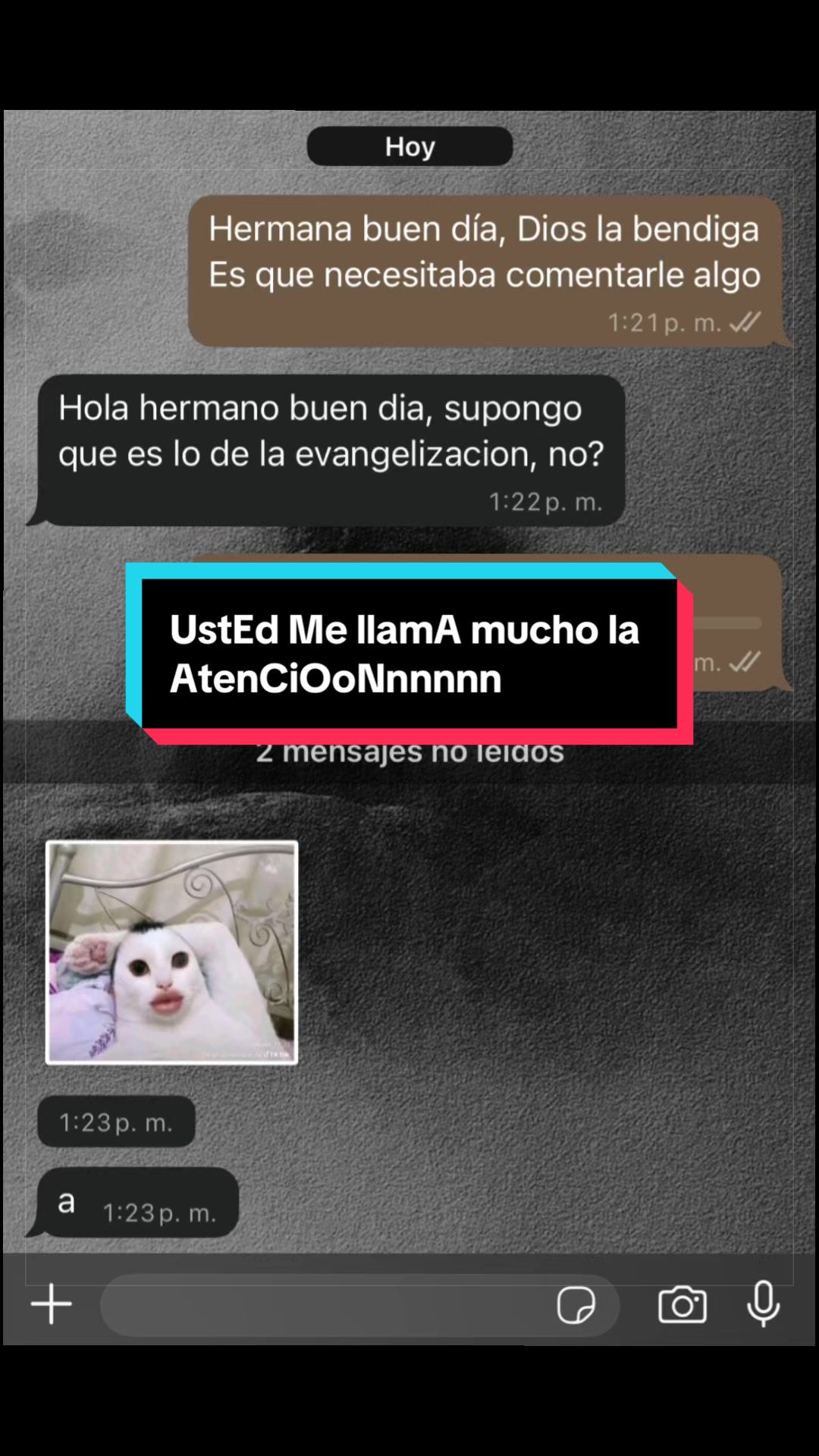 @nexoalejandro