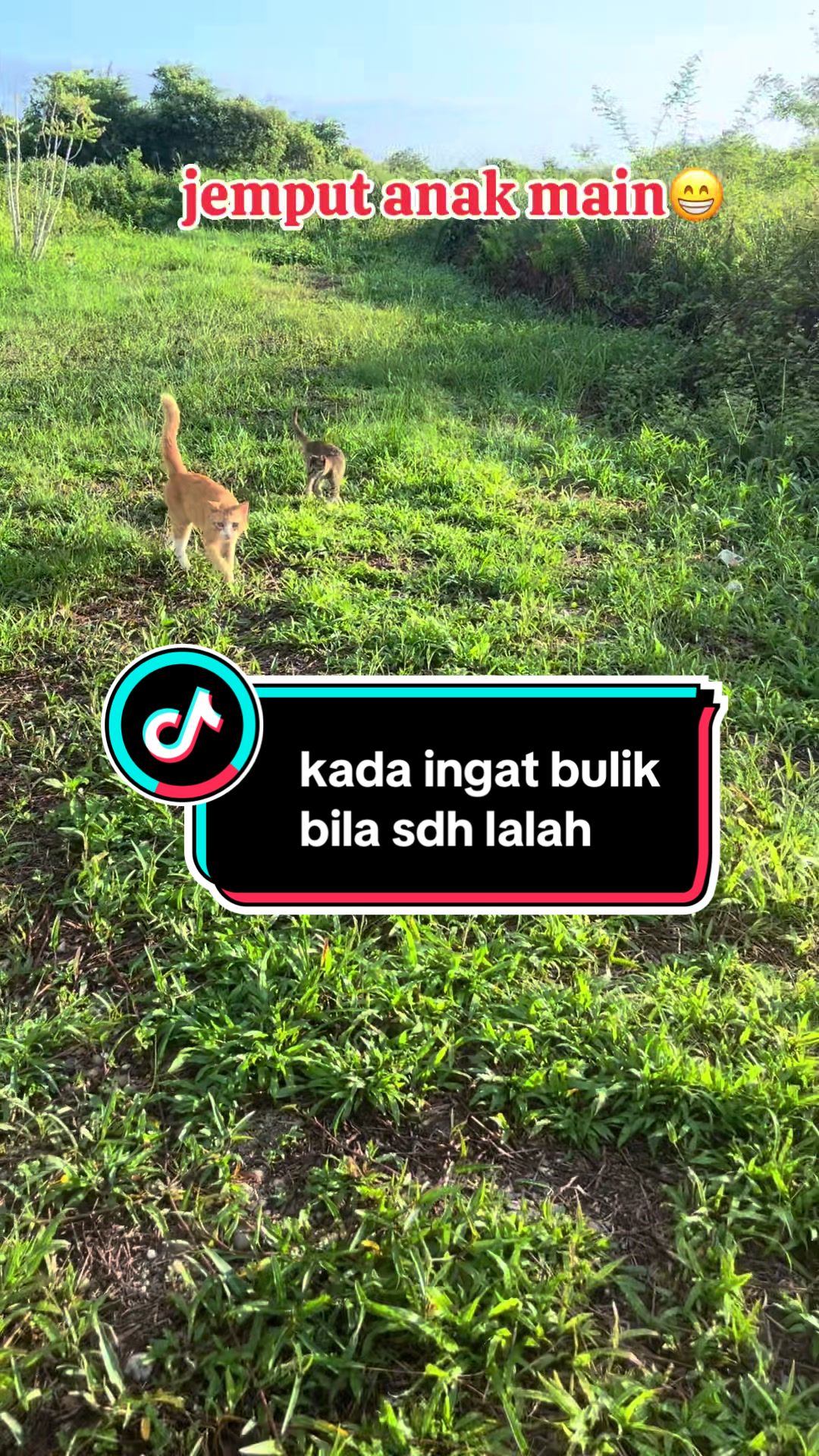 @ALuhh Kudakk