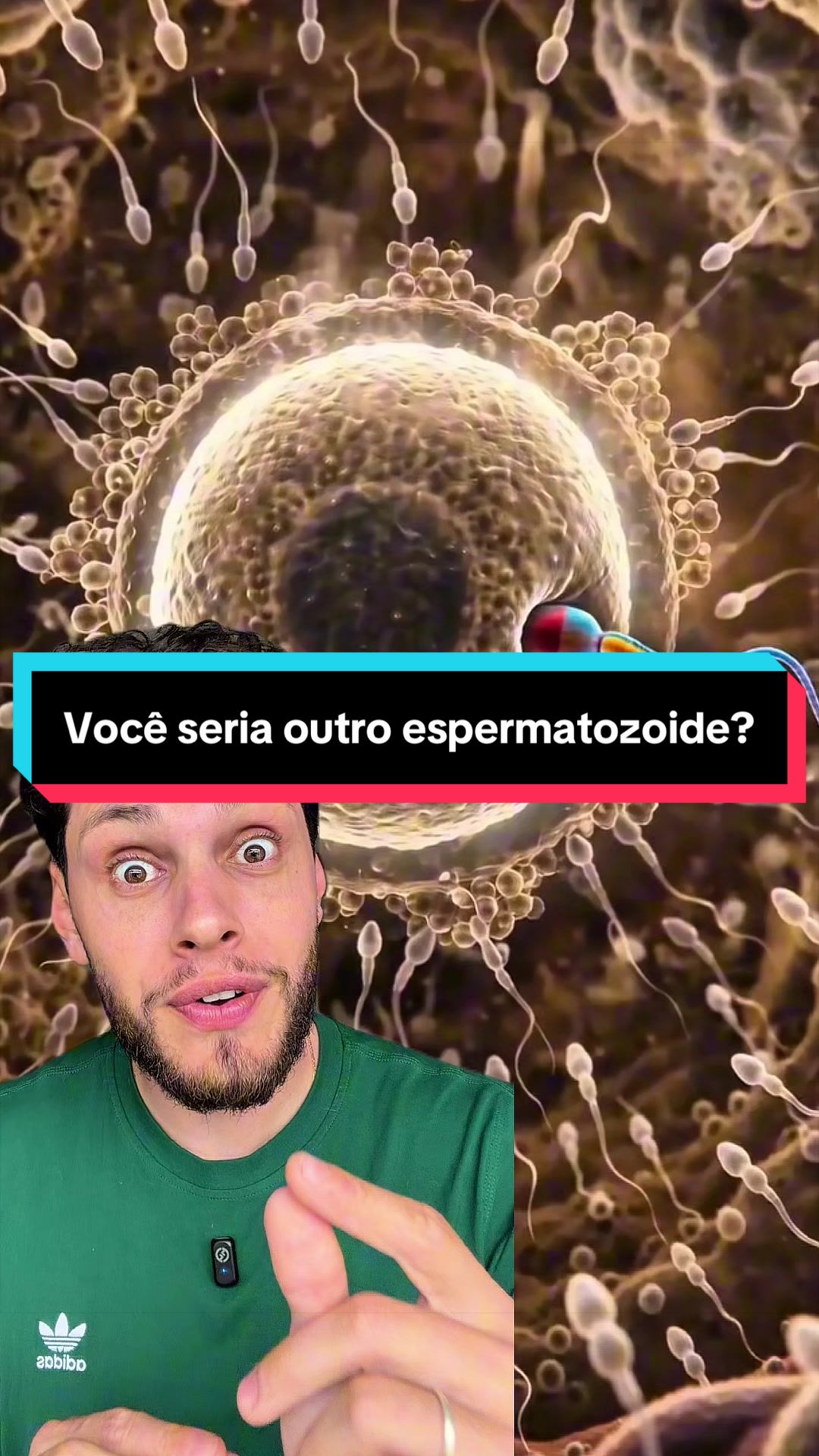 @Fercavs