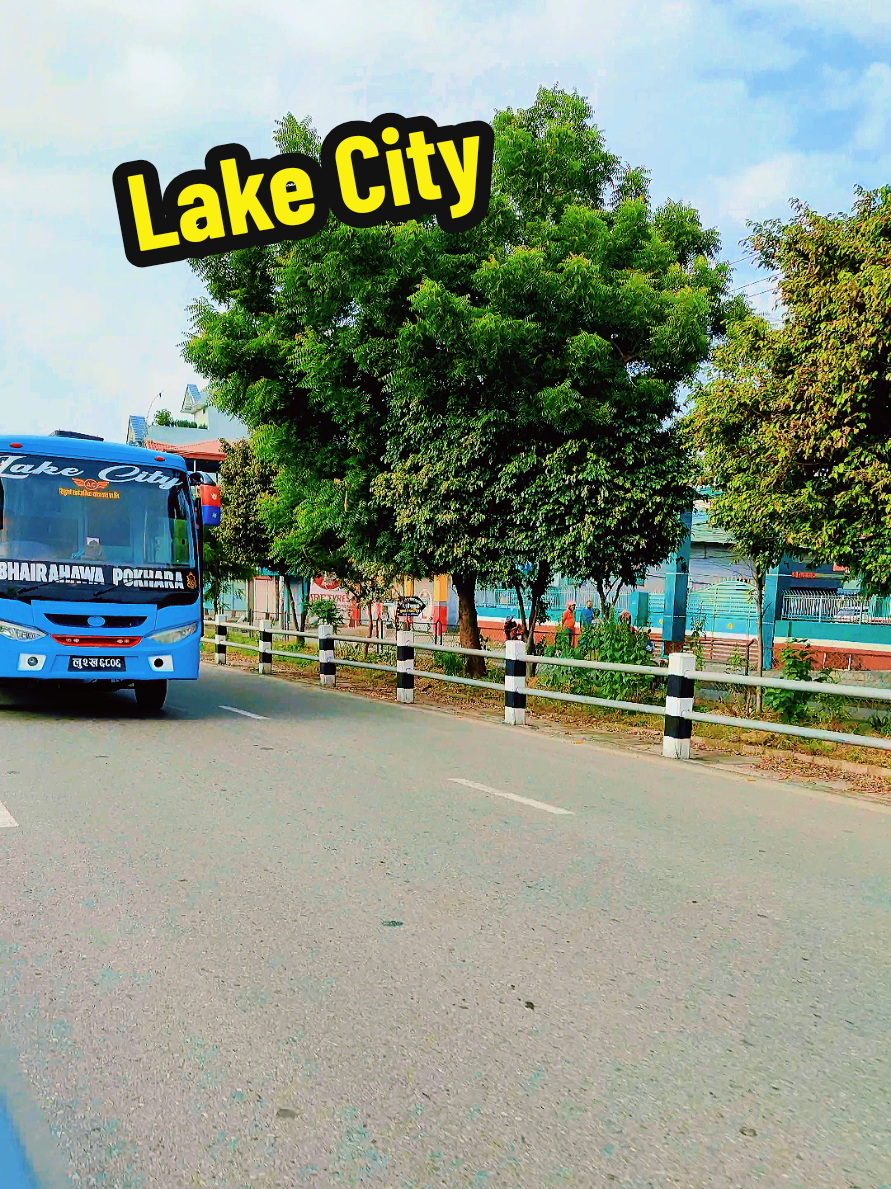 @BusVibe