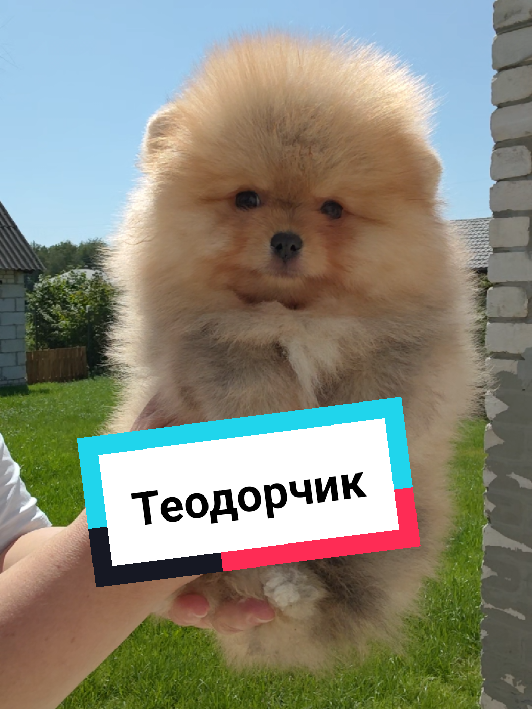 @Veronika Tkachuk