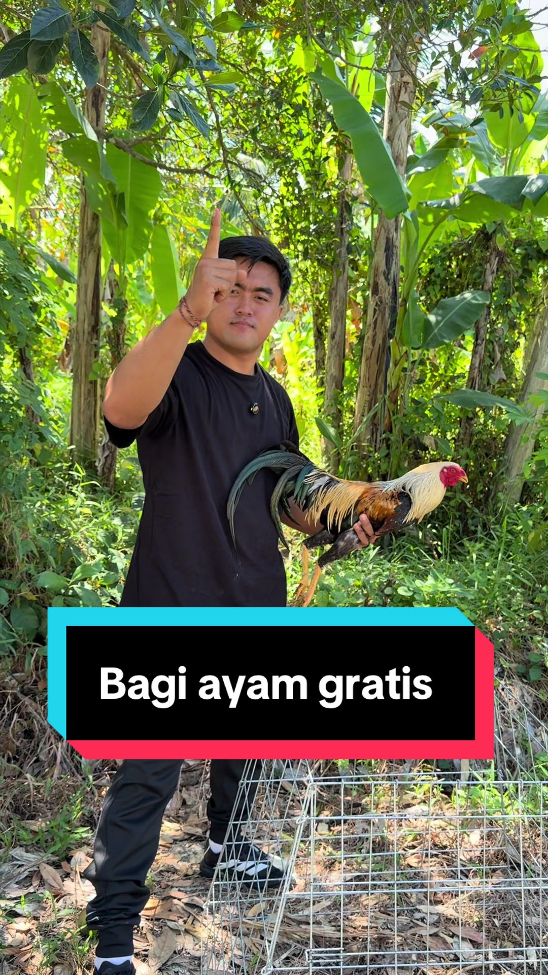 @Doni artawan