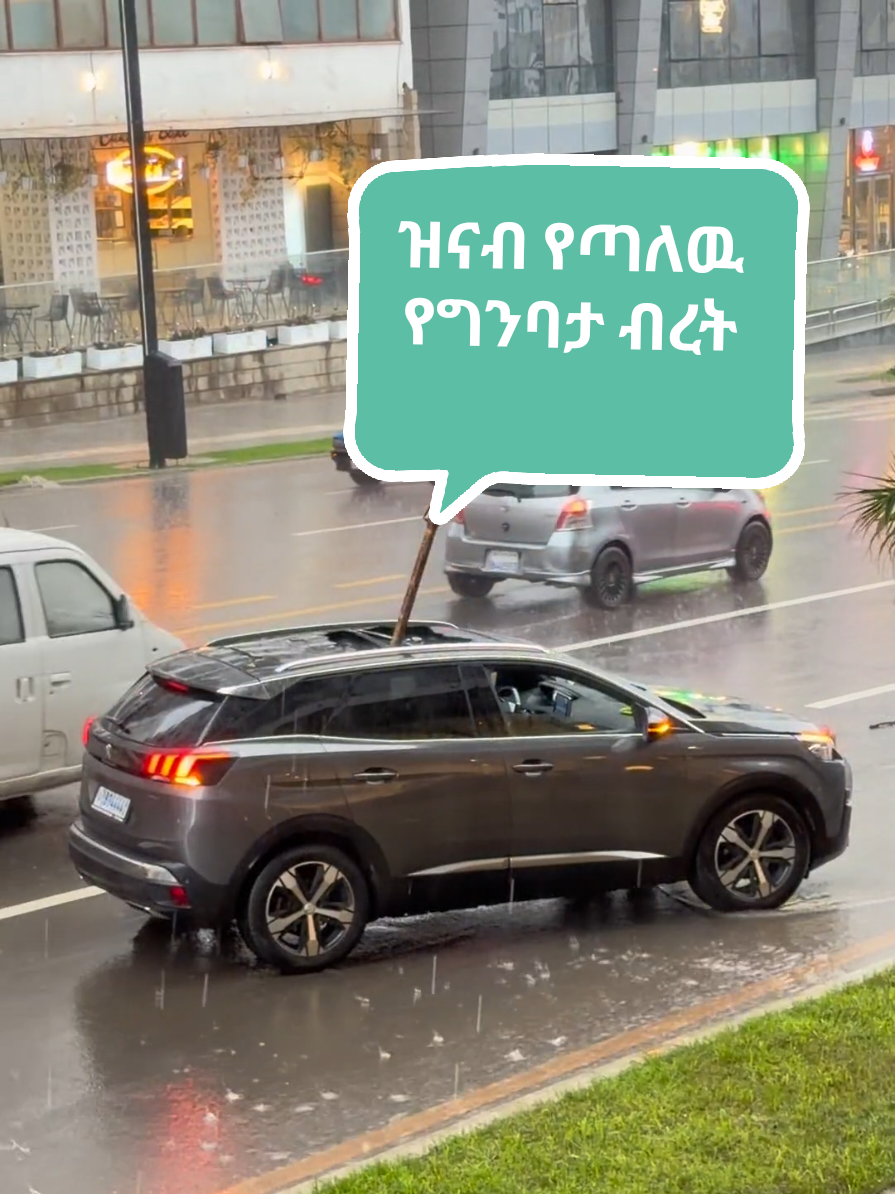 @Bereket Debay CEO
