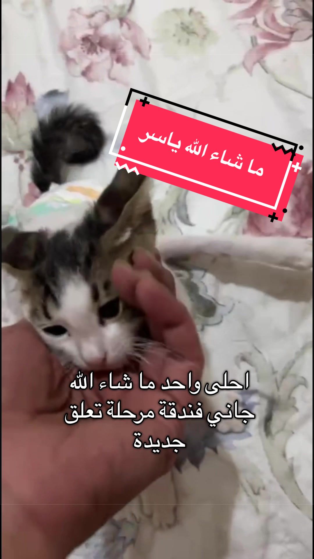 @لولو الحسني🇸🇦🫀