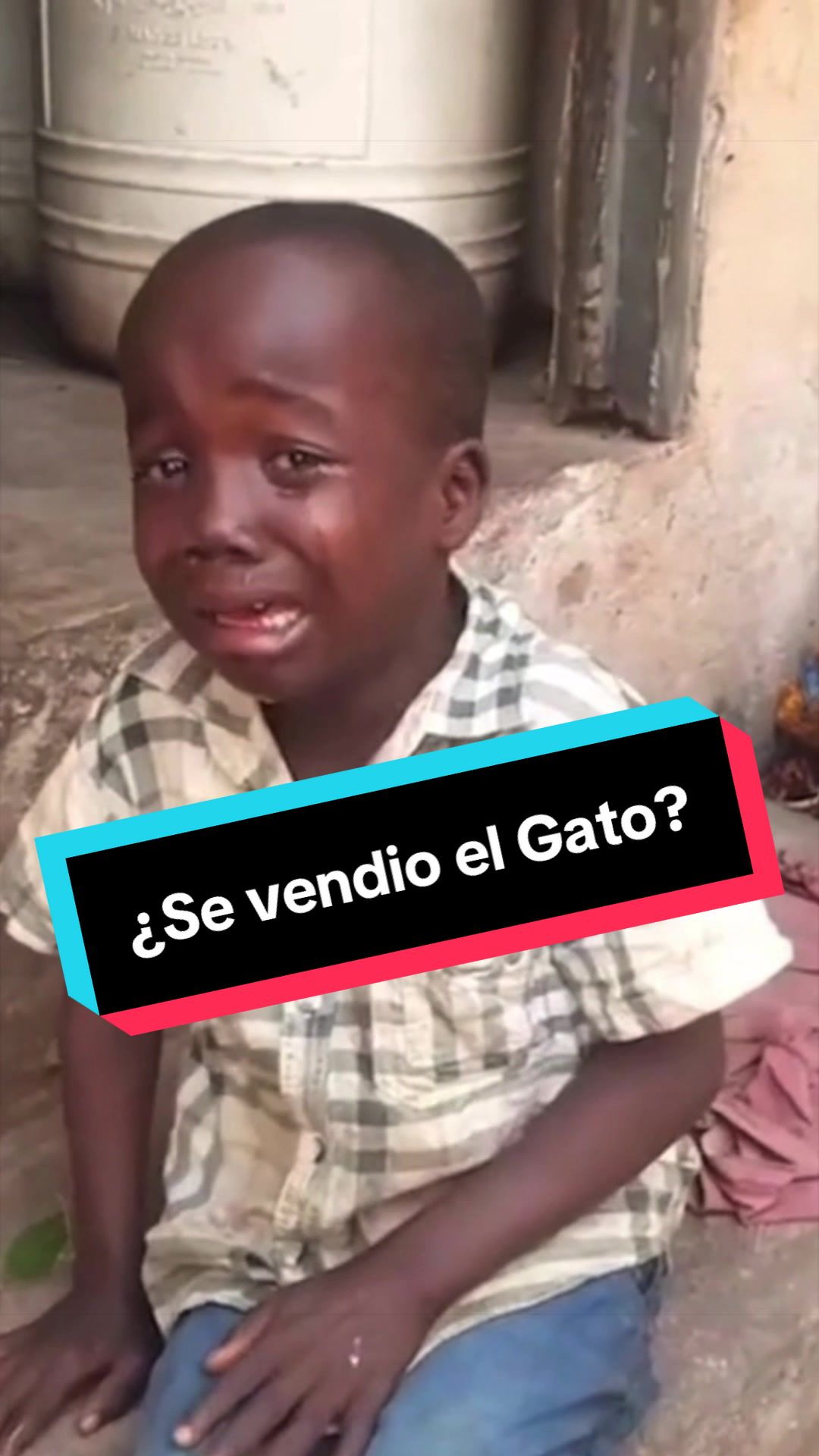 @El Gato