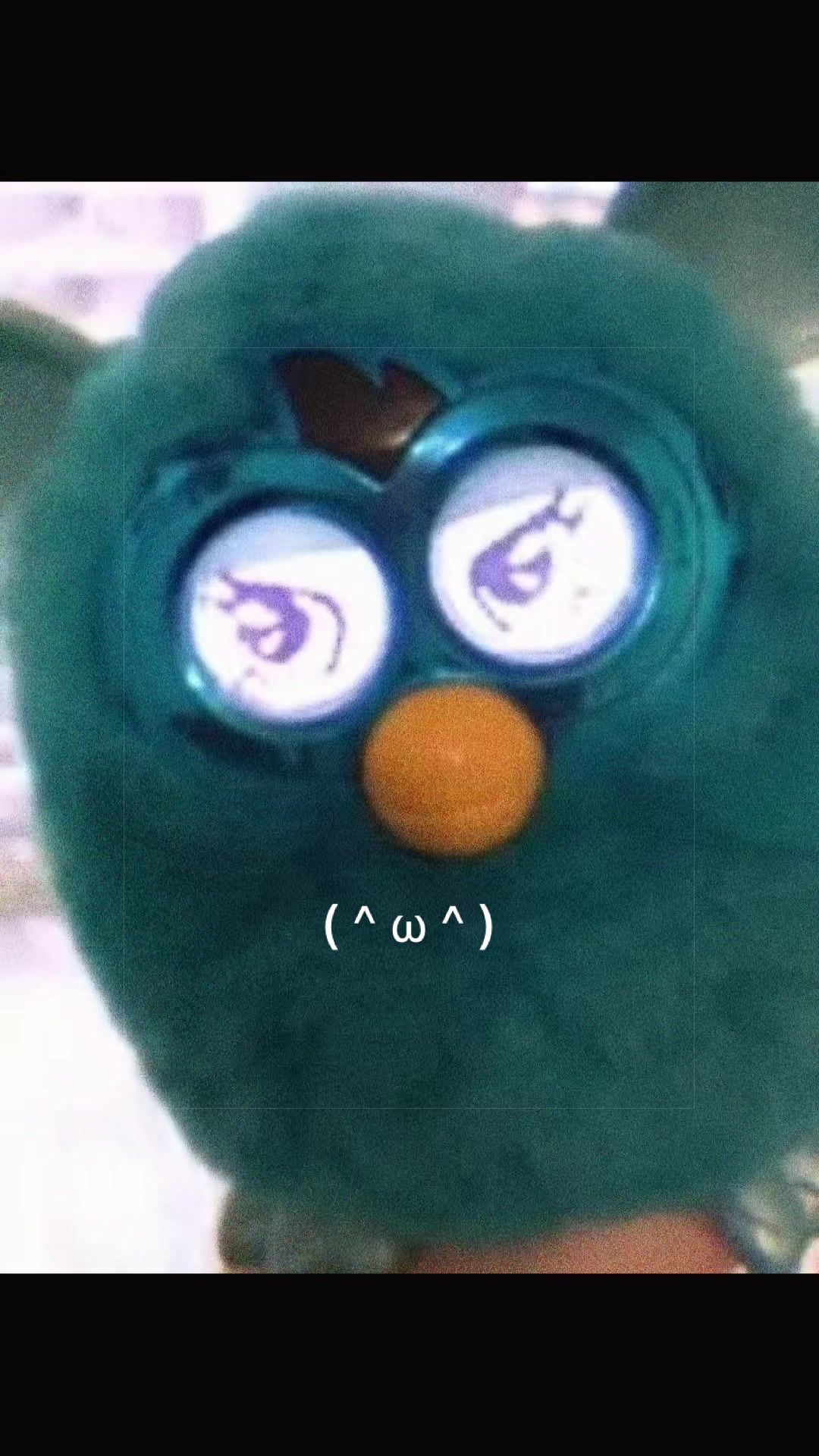 @Star Furby ✮ˎˊ˗ (๑ㅁ꩜) !!
