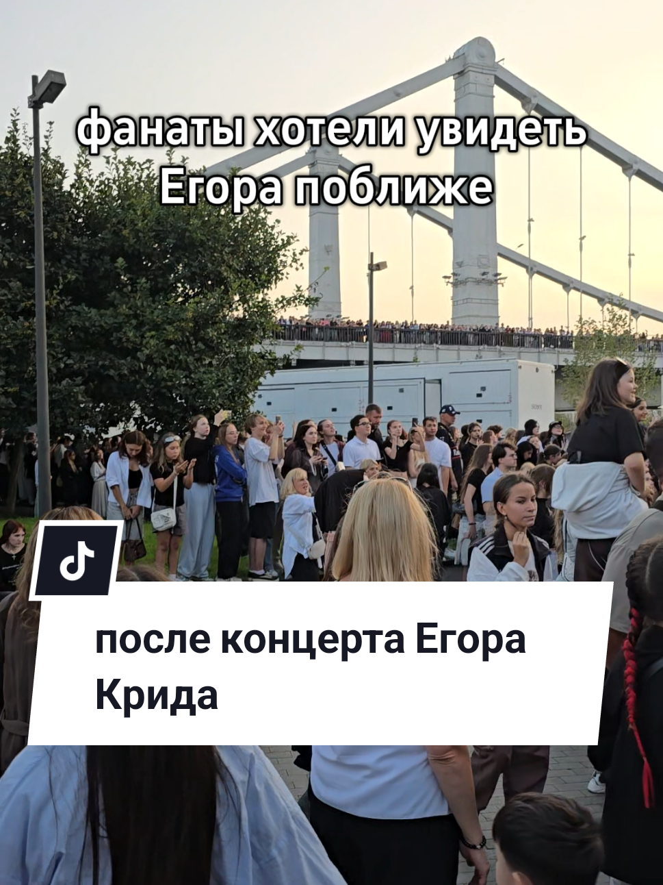 @Сыркина