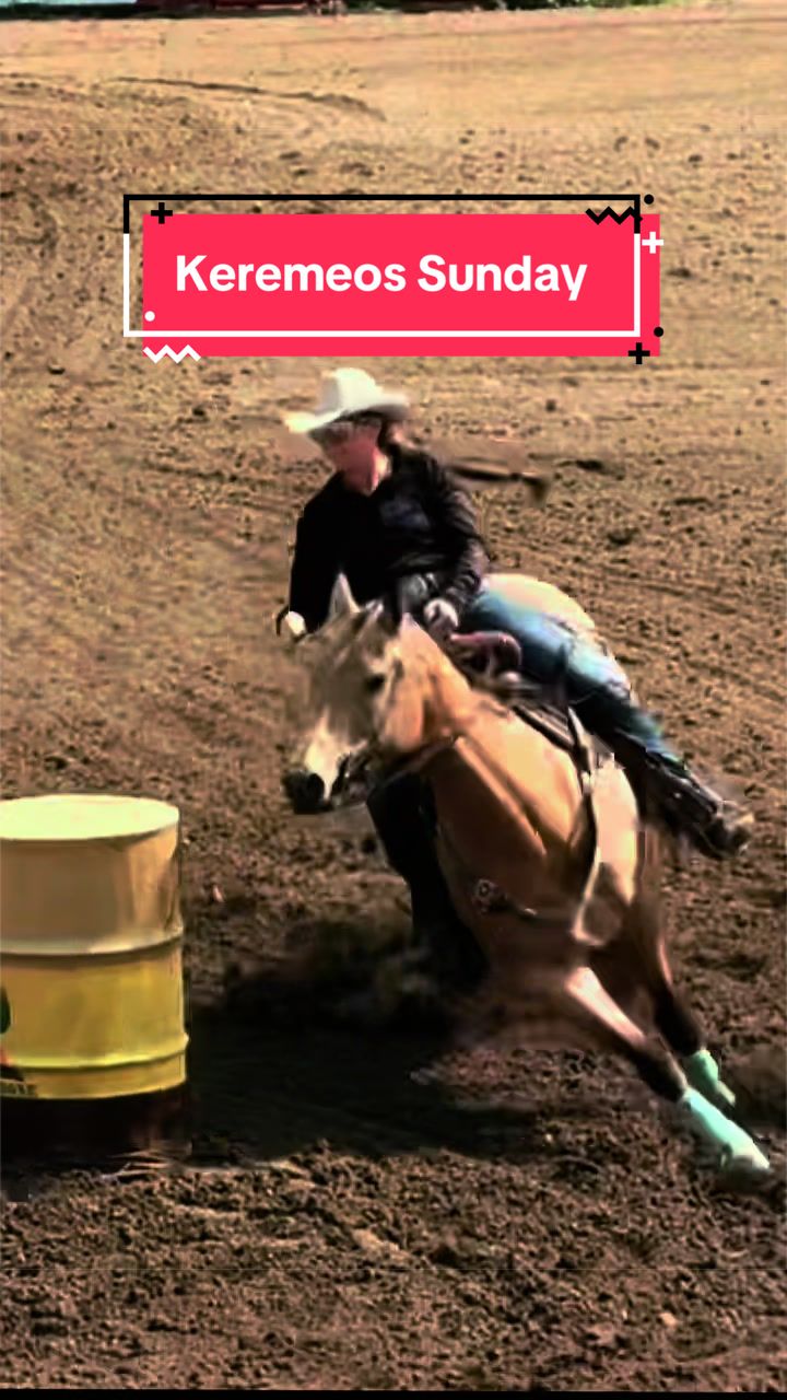 @Diamond W Barrel Horses 🇨🇦