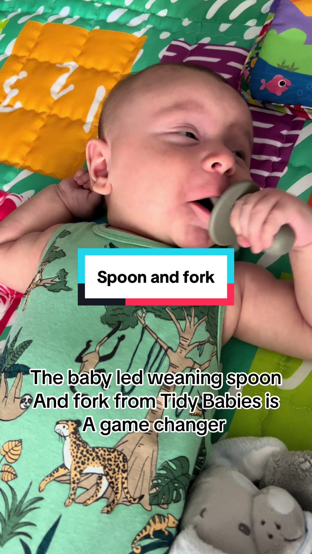 @Tidy Babies