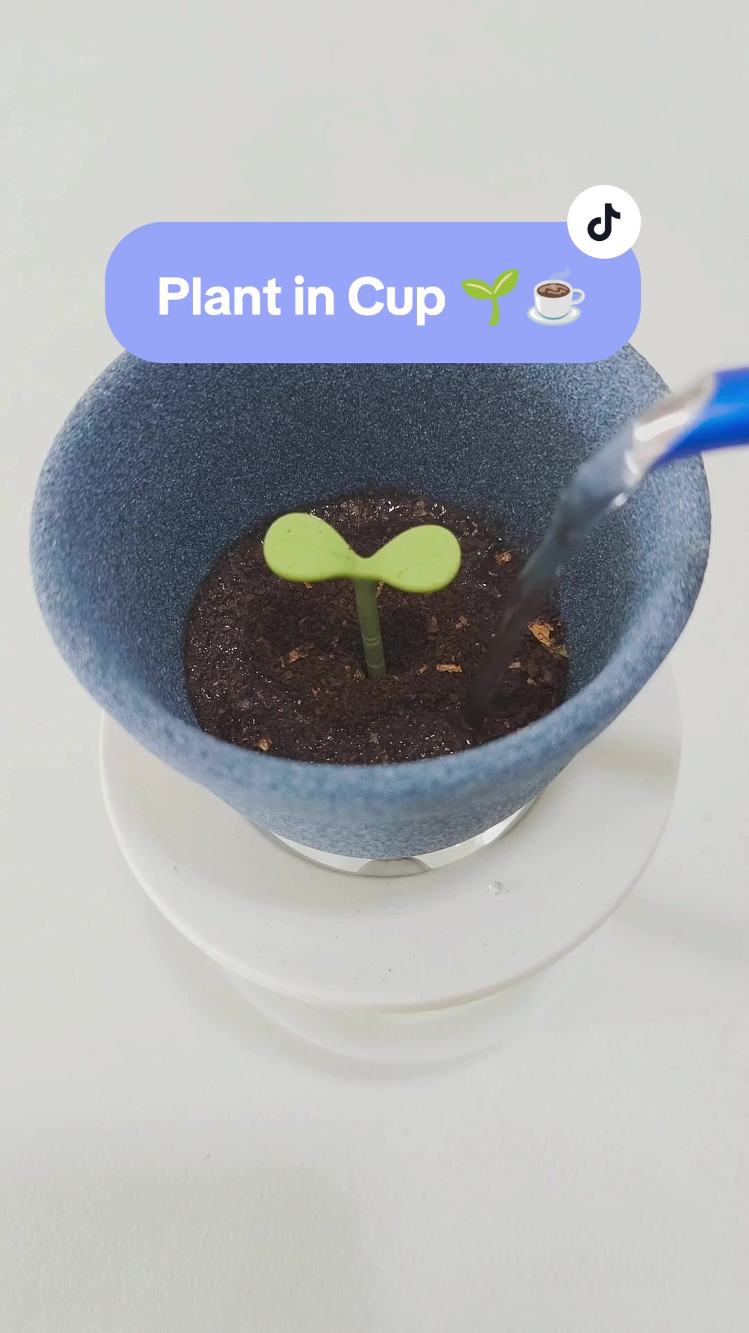 @The_Coffee_Engineer ☕👷