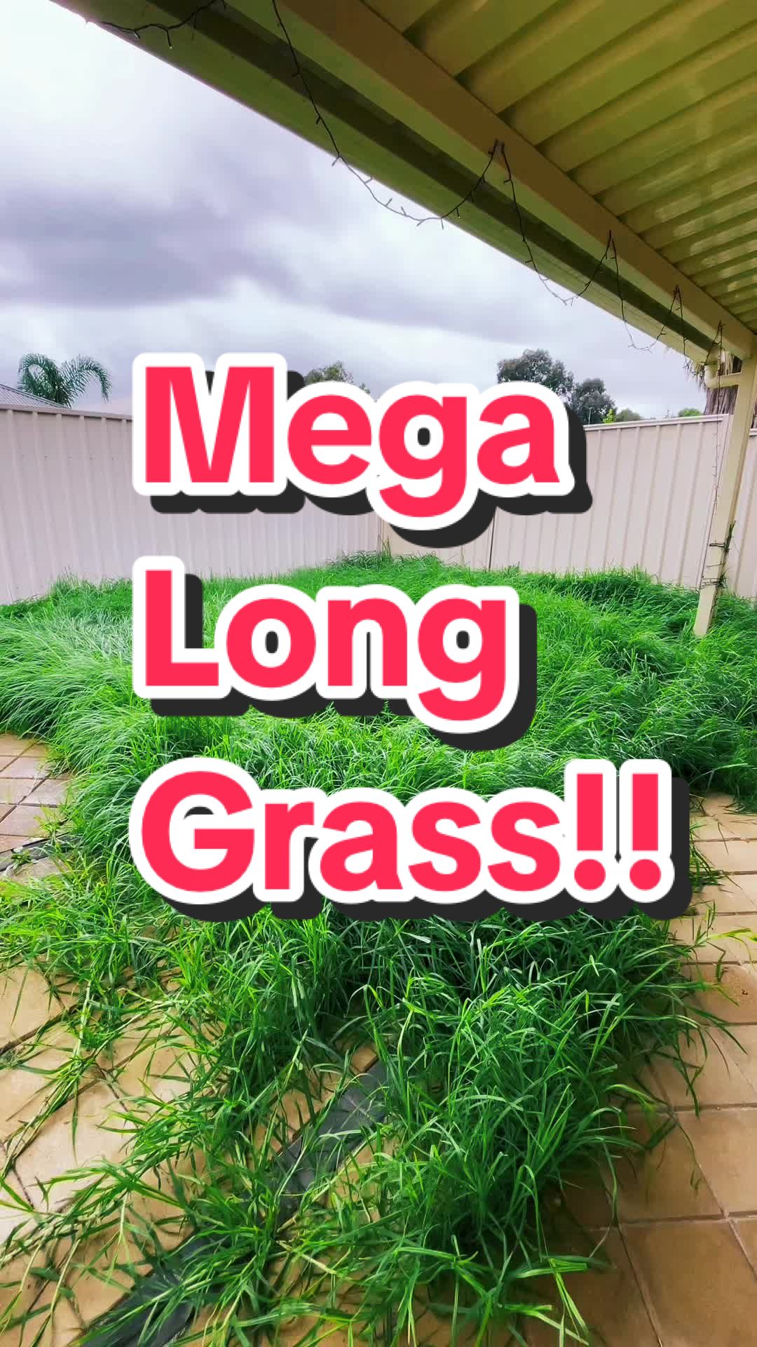 @Trusted Garden Maintenance