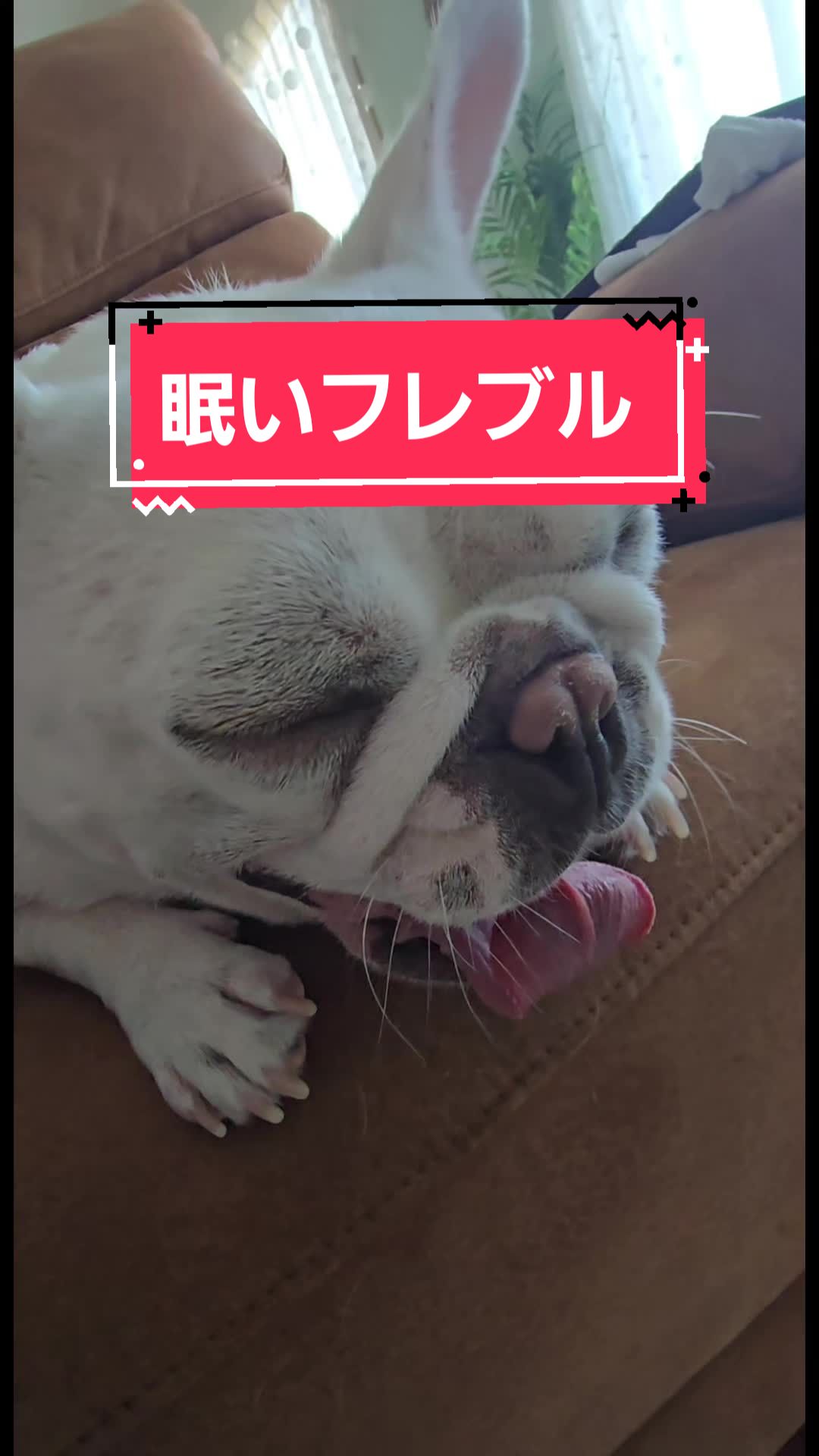 @フレブルJesse ❤️ MyO