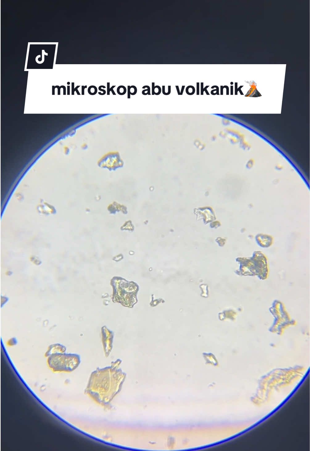 @andrea👩🏻🔬