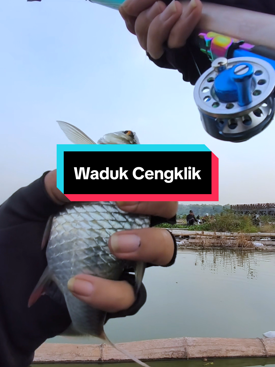 @Mr. Angler