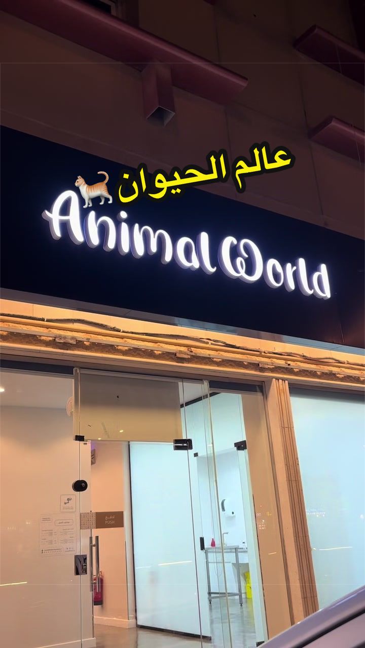 @مرخصة اعلامياً 📸 | Layan