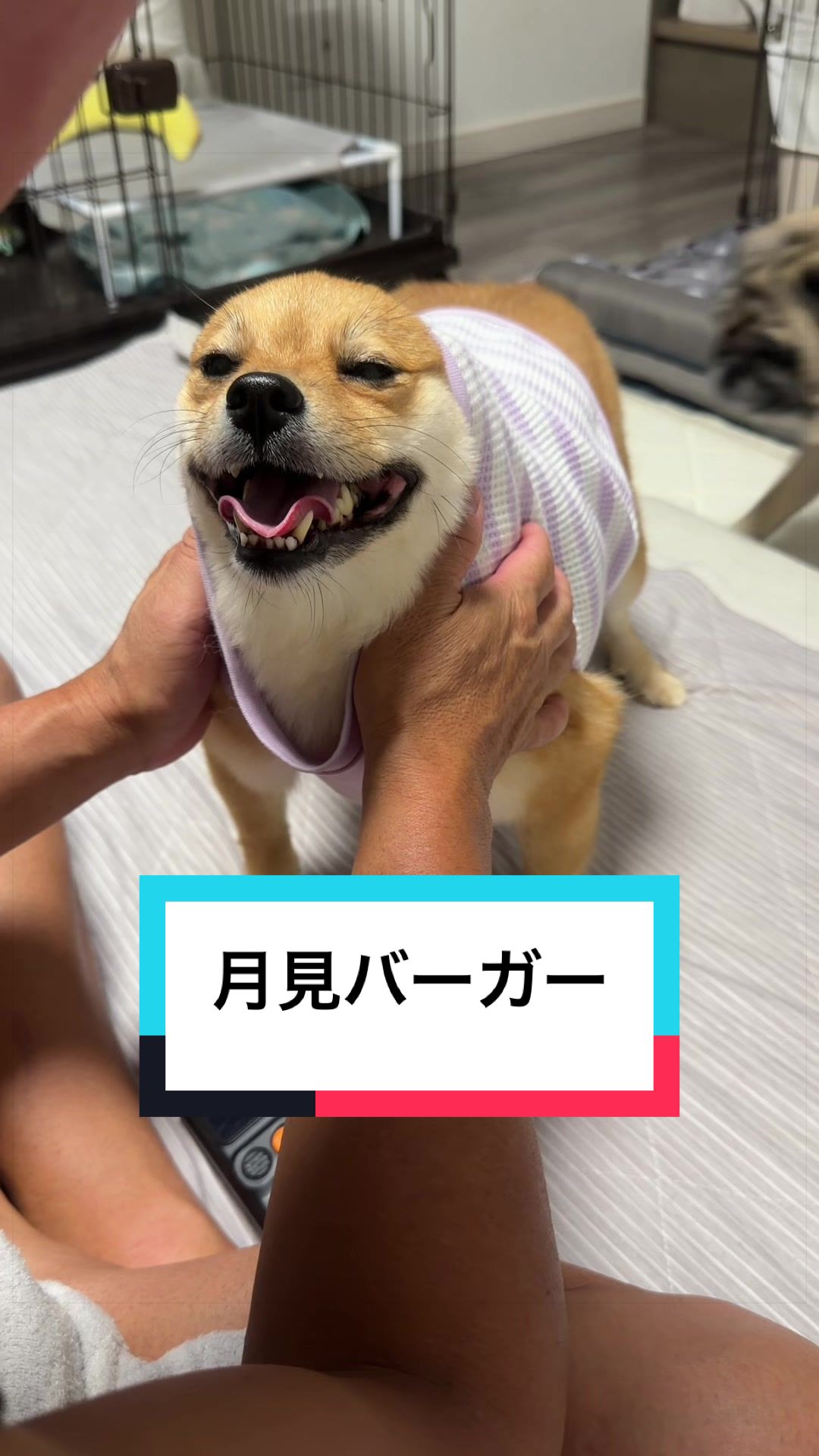 @9/28🎂おじ生誕祭🐶とん&ぺっぺこぺー🦊