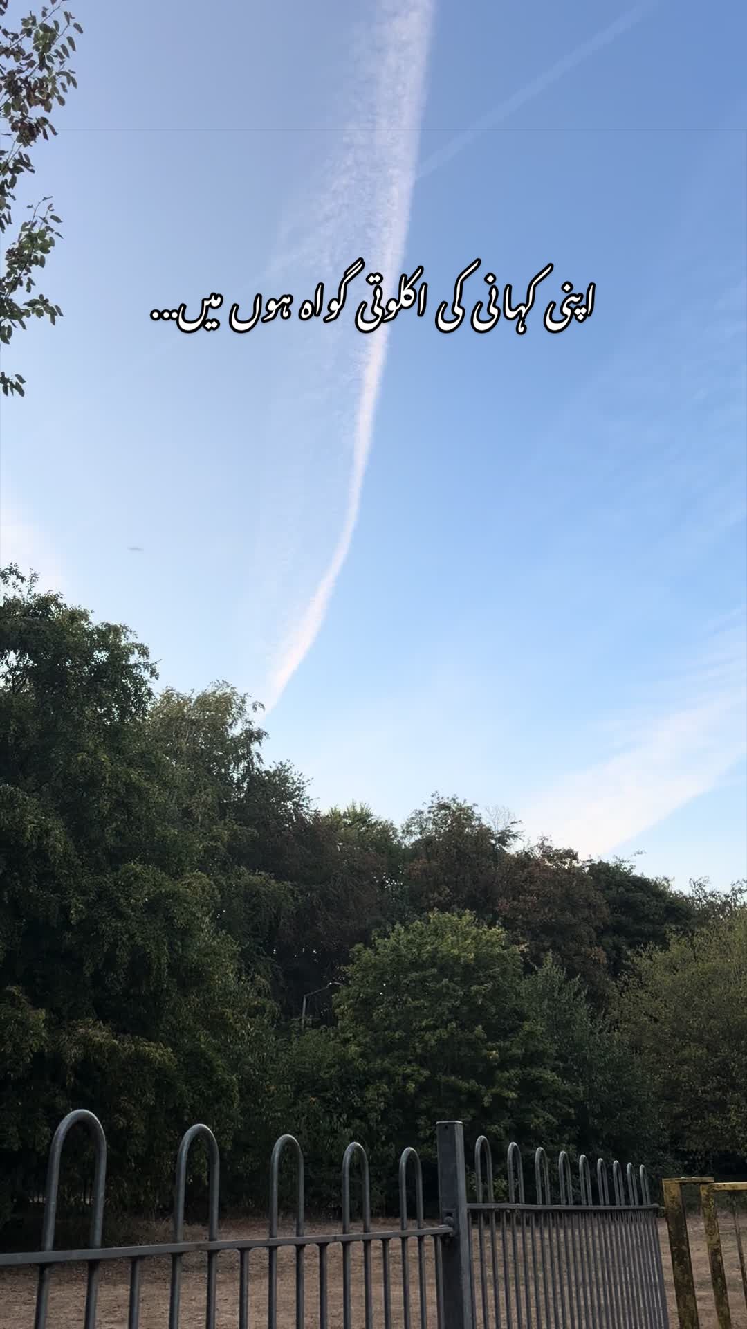 @noorfa15653297132