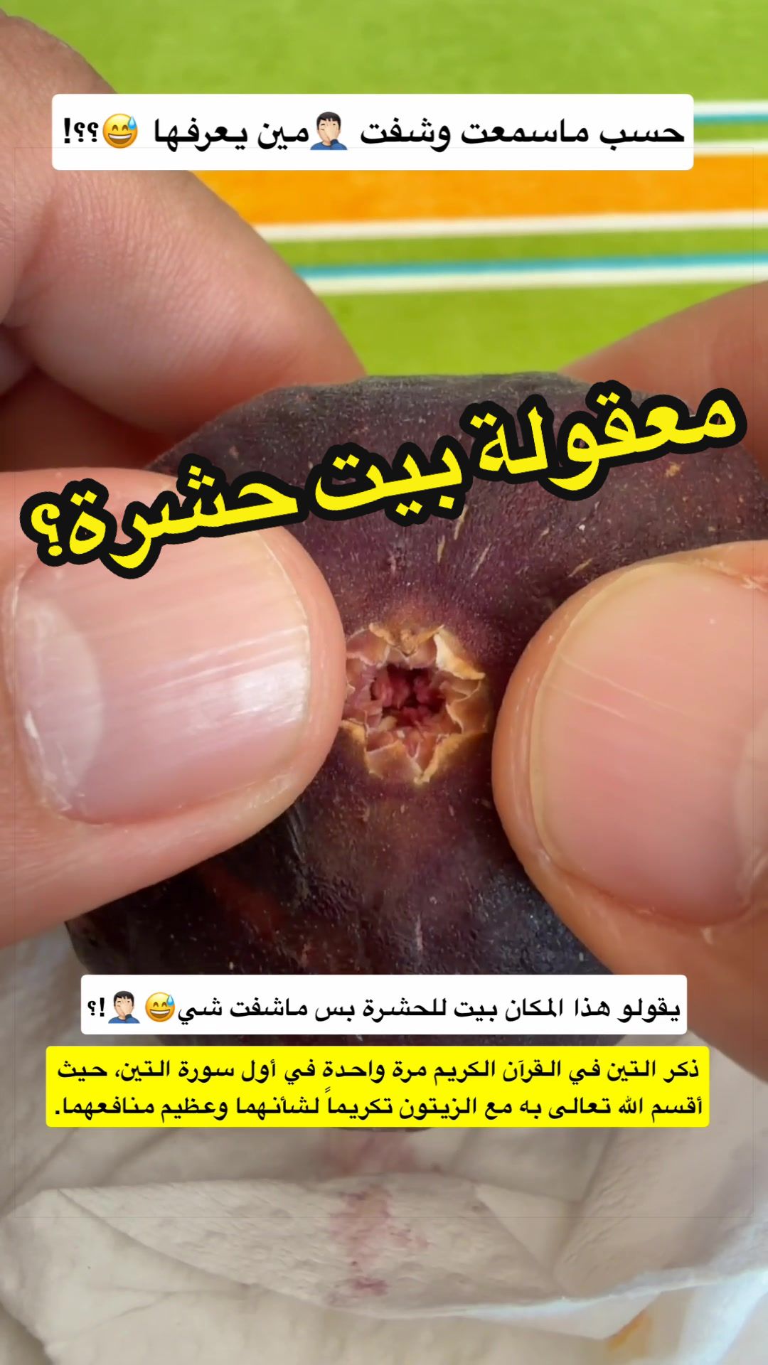 @Nabil Alayoubi