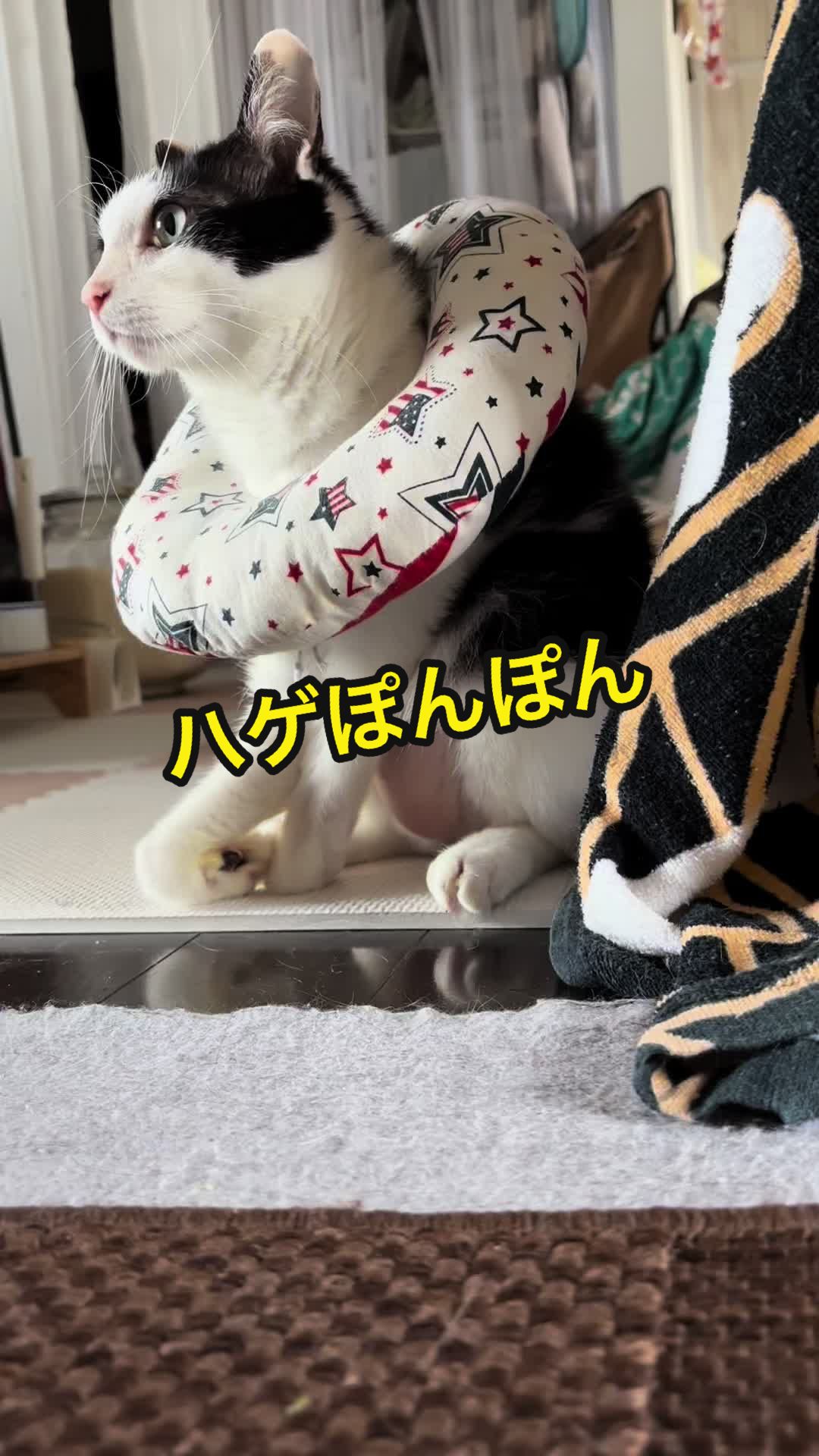 @陸丸 Rikumaru