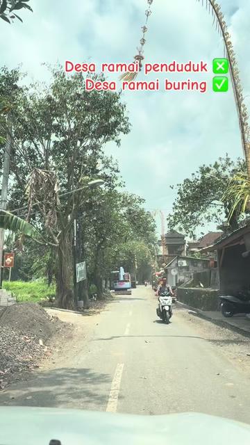 @Suara Bali