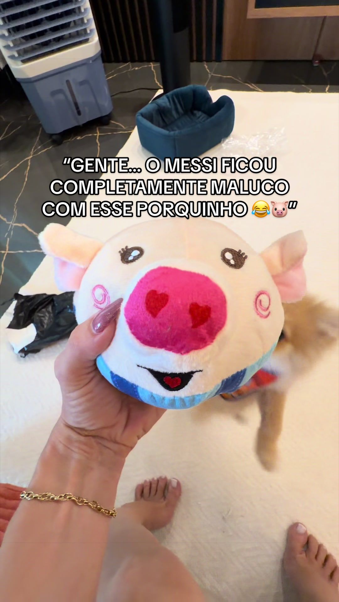 @Kettyla e elisandro