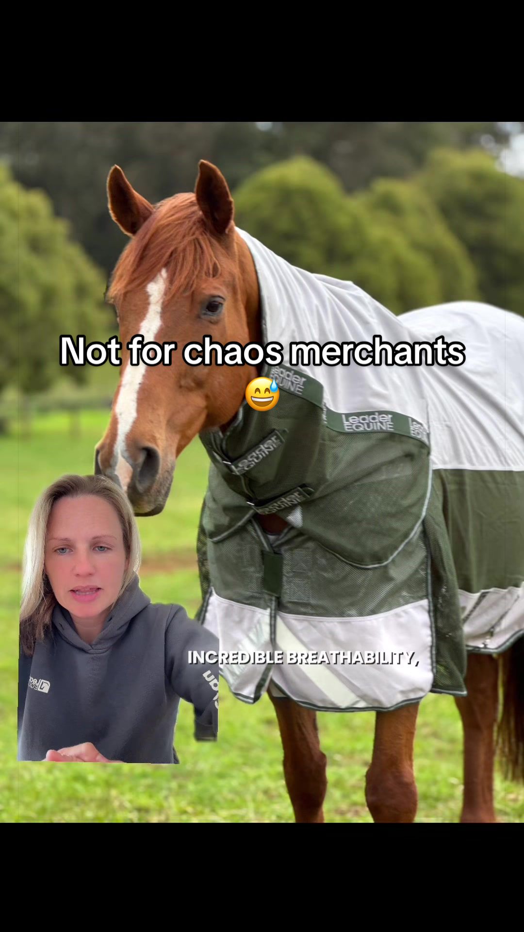 @Leader Equine