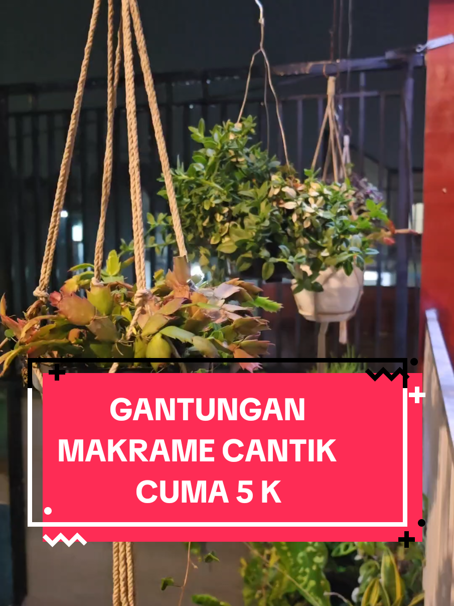 @Kupu kupu Orange