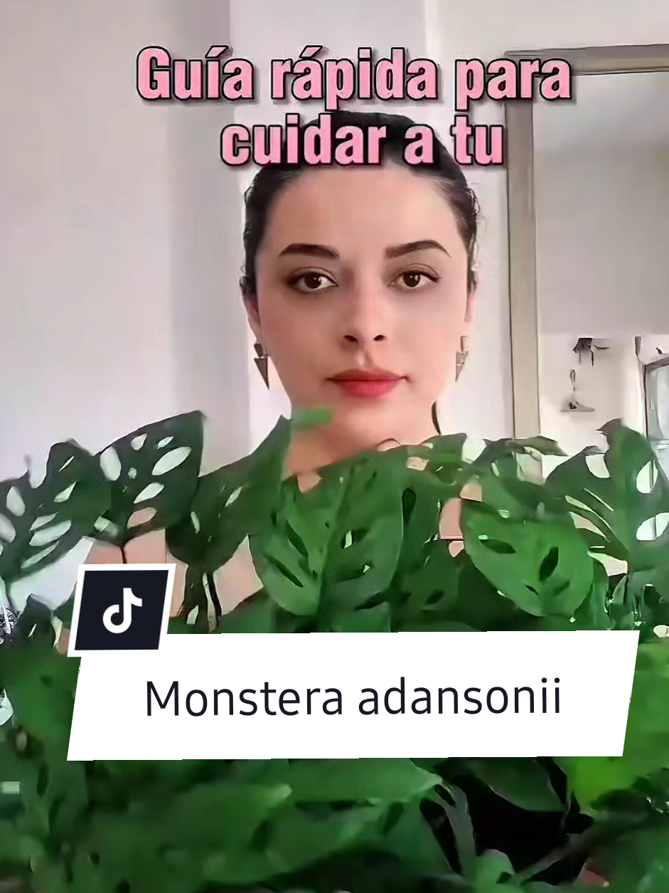 @Plantología🌿
