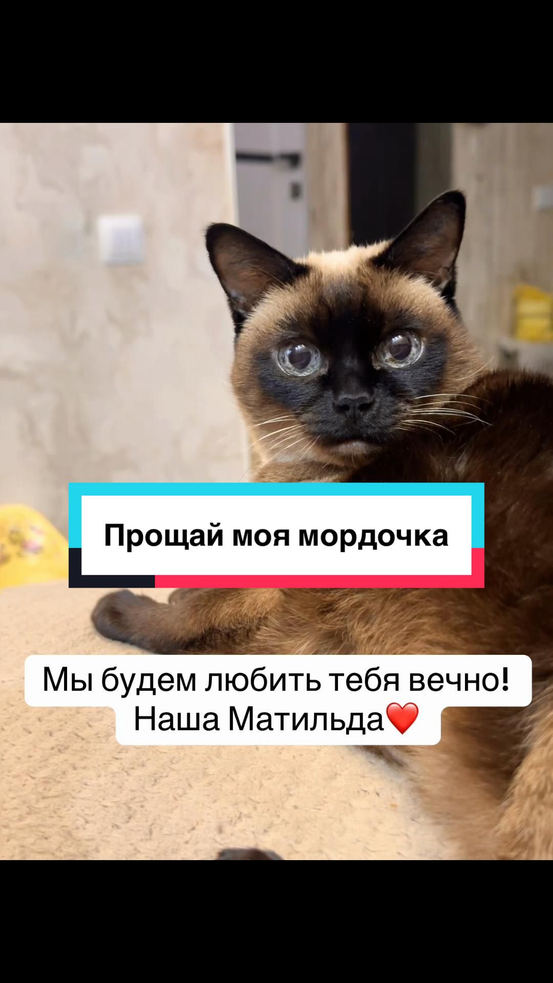 @Nat1na