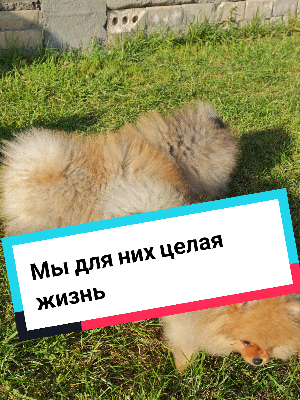 @Veronika Tkachuk