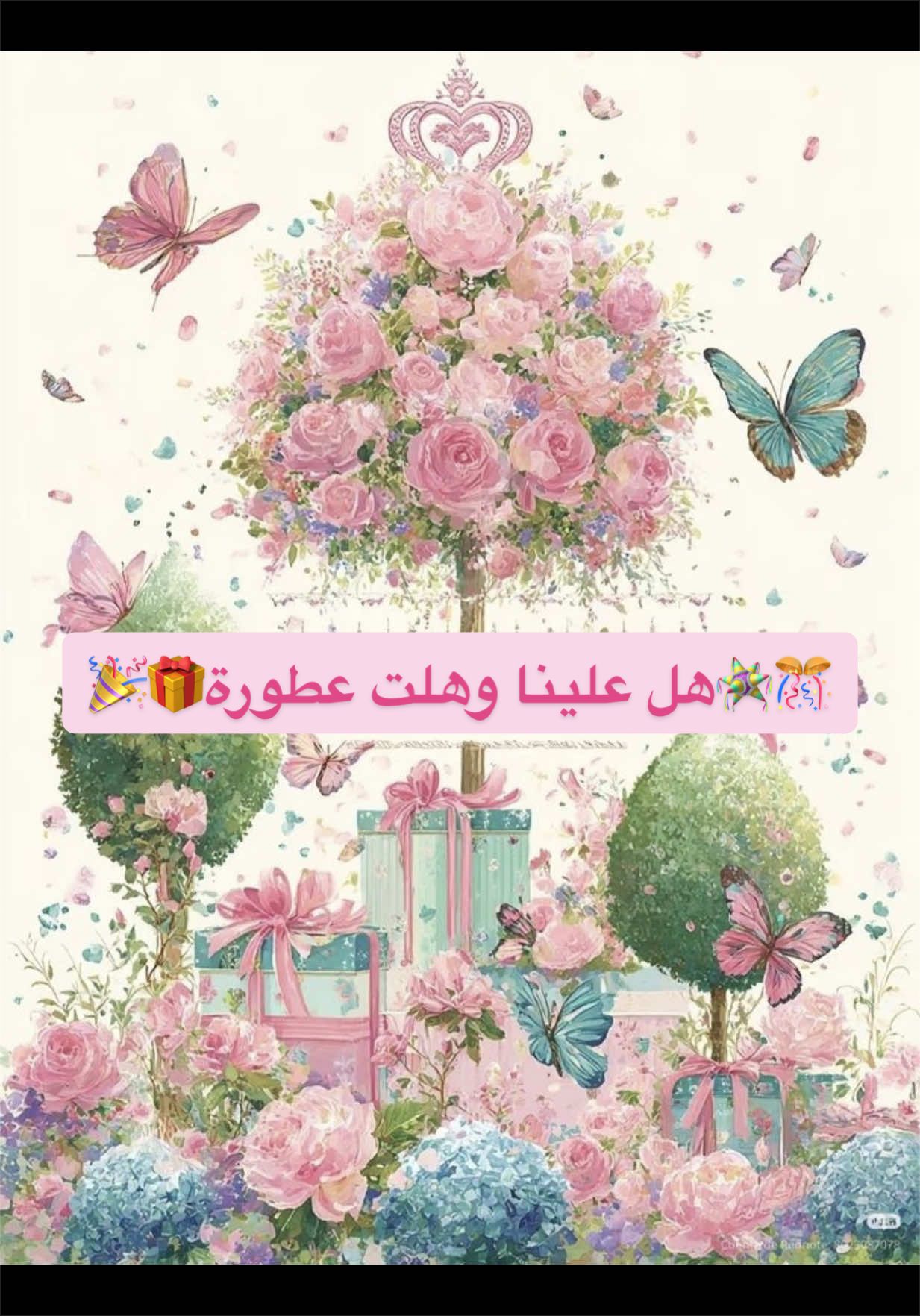 @ديڤا عبير🇸🇦