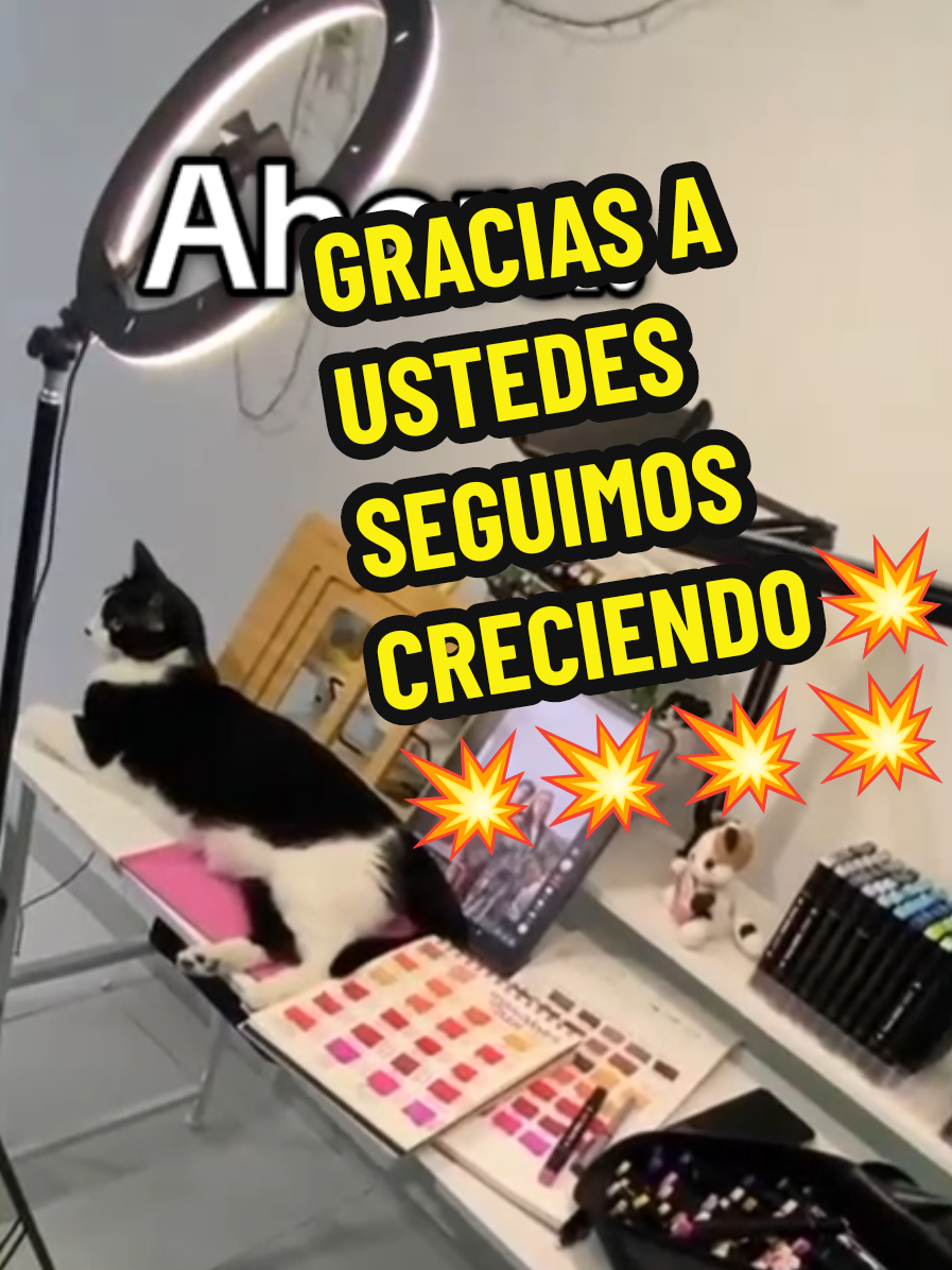@sooypolale