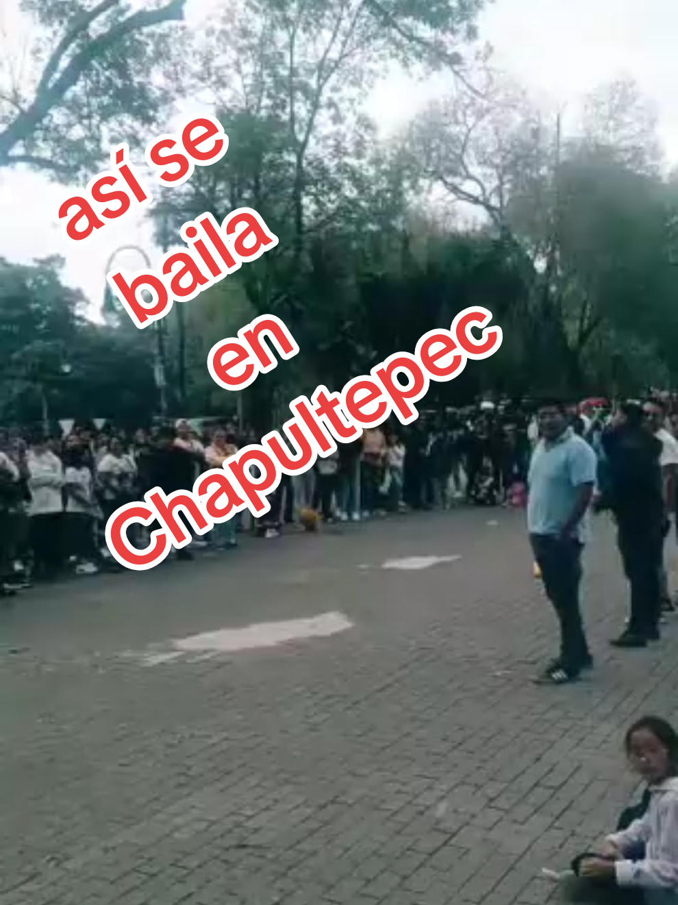 @Andy puchungazo