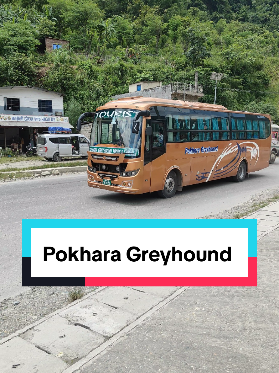 @BusVibe