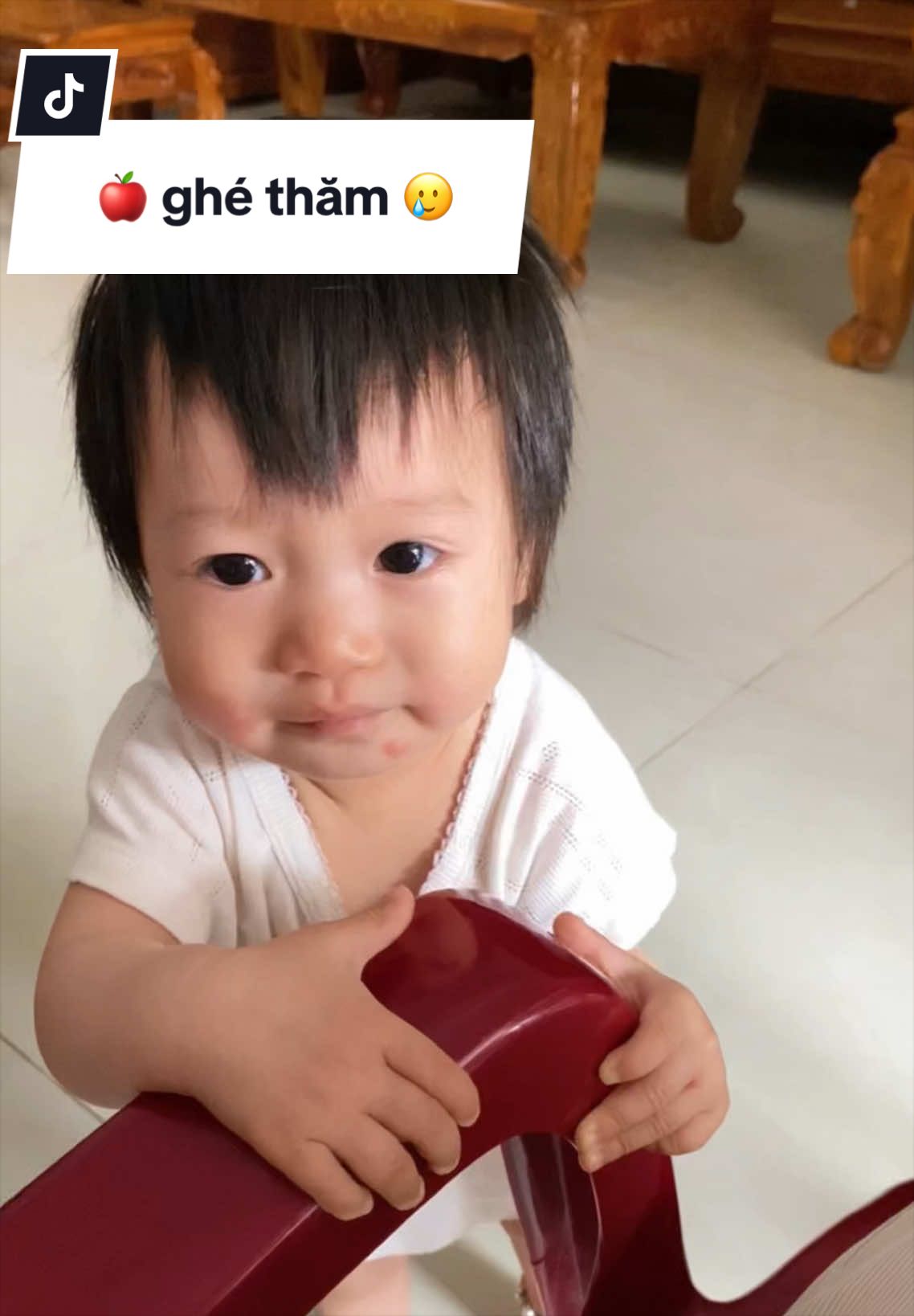 @Mẹ Bơ Macca (VânViVu)