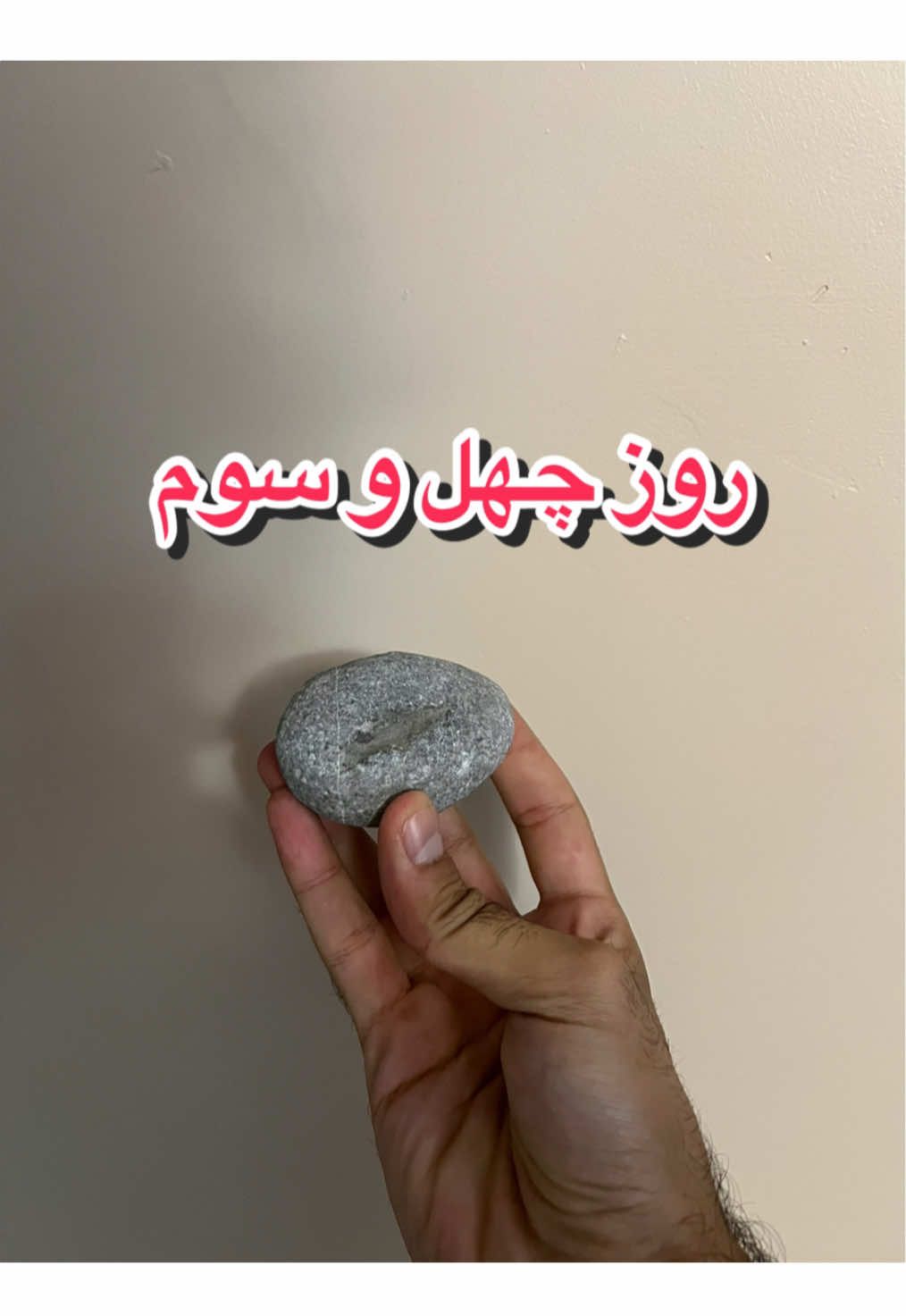 @قلی | یه حیوون خونگی متفاوت