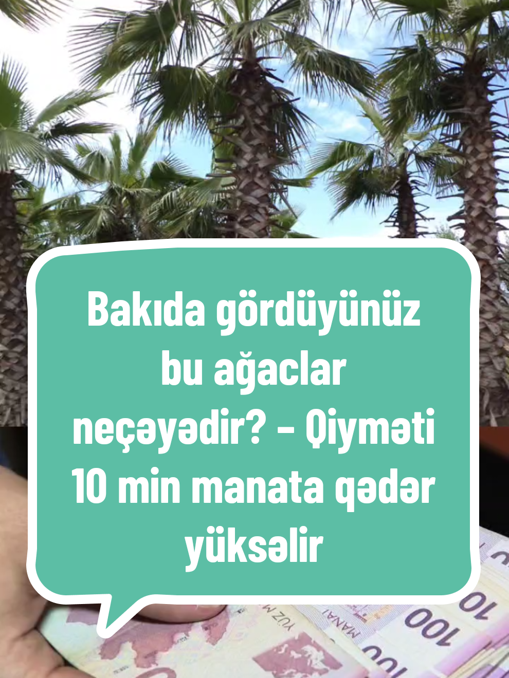 @Valyuta.Az