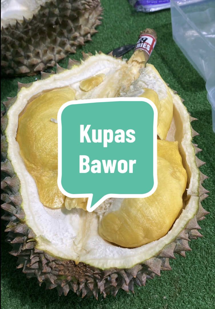 @Rumah Tamma Durian