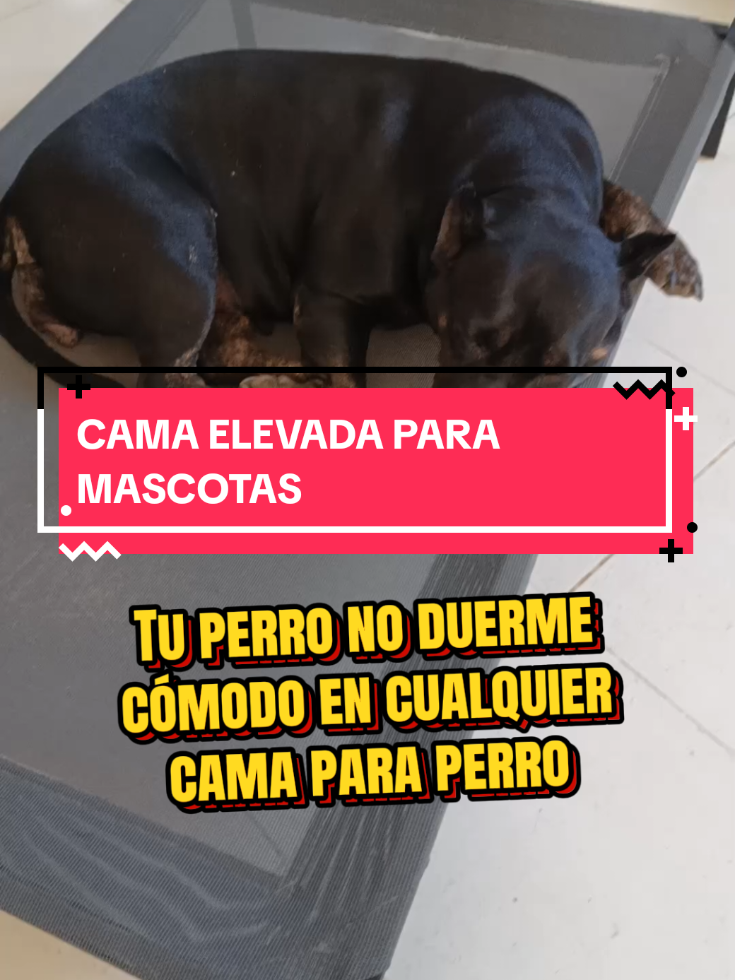 @Mario TBadillo