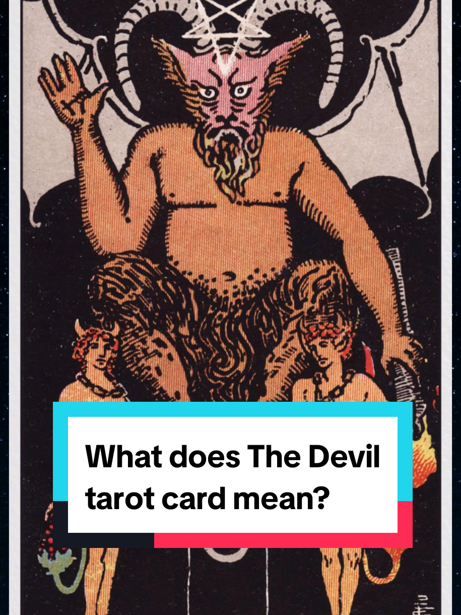 @Shonna | Tarot Teacher